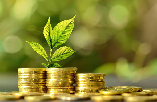 Bangladesh pushes sustainable finance to support green industry and climate resilience