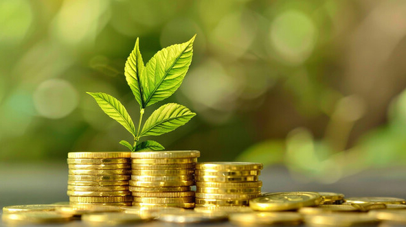 Bangladesh pushes sustainable finance to support green industry and climate resilience