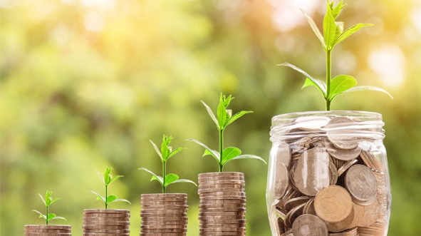 Bangladesh could earn $1 billion annually from carbon market: Experts