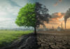 Bangladesh loses 2% of its GDP every year for climate disasters