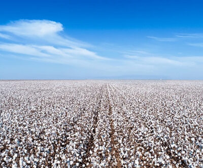 Pakistan lifts fumigation requirement for Brazilian cotton