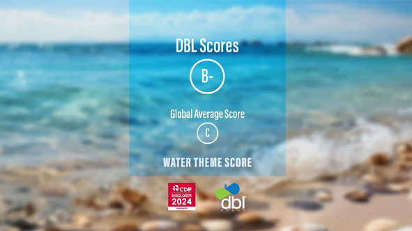 DBL Group proudly achieves a “B-” in the CDP Water Report 2024, surpassing the global average of “C”
