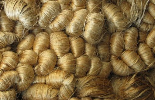 Jute prices soar to record high, 180 factories at risk