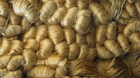 Jute prices soar to record high, 180 factories at risk