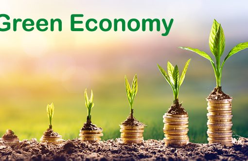 Digital finance emerges as catalyst for Bangladesh’s green economy