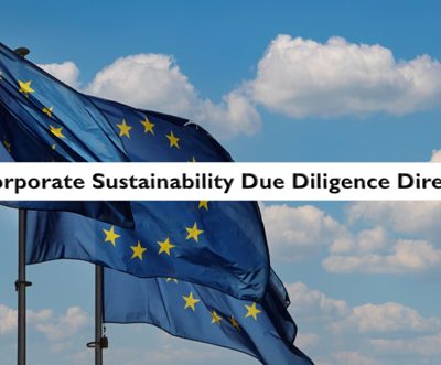 EU due diligence law to hold brands, buyers, and exporters accountable