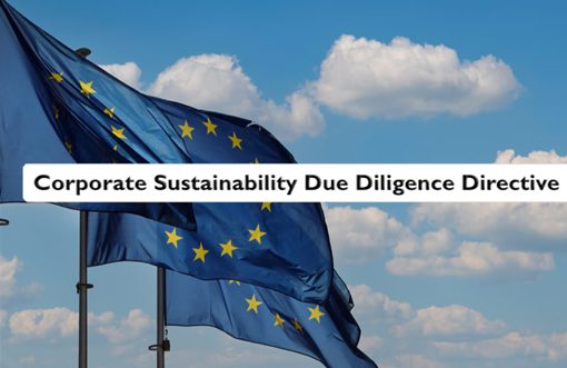 EU due diligence law to hold brands, buyers, and exporters accountable