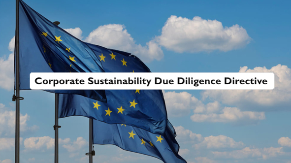 EU due diligence law to hold brands, buyers, and exporters accountable