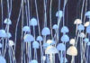 Mycelium Based Bio-fabric in Fashion – A sustainable alternative for the future