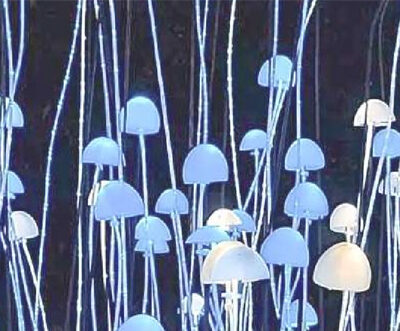 Mycelium Based Bio-fabric in Fashion - A sustainable alternative for the future