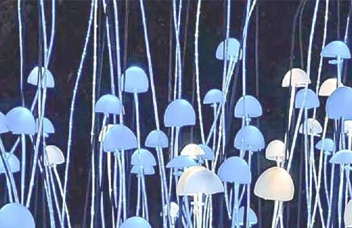 Mycelium Based Bio-fabric in Fashion - A sustainable alternative for the future