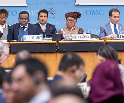 WTO members review cotton trade, investment and policy reform ahead of MC14