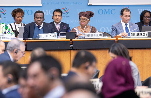 WTO members review cotton trade, investment and policy reform ahead of MC14