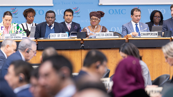 WTO members review cotton trade, investment and policy reform ahead of MC14