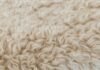 Australian wool prices rise further on strong export demand