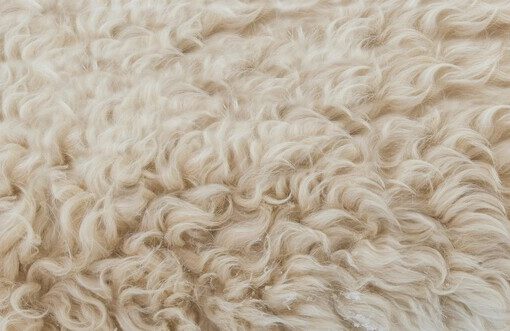 Australian wool prices rise further on strong export demand