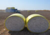 ICE cotton rebounds on optimism over improving US-China trade relations