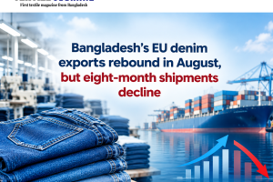 Bangladesh’s EU denim exports rebound in August, but eight-month shipments decline