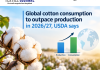 Global cotton consumption to outpace production in 2026/27, USDA says